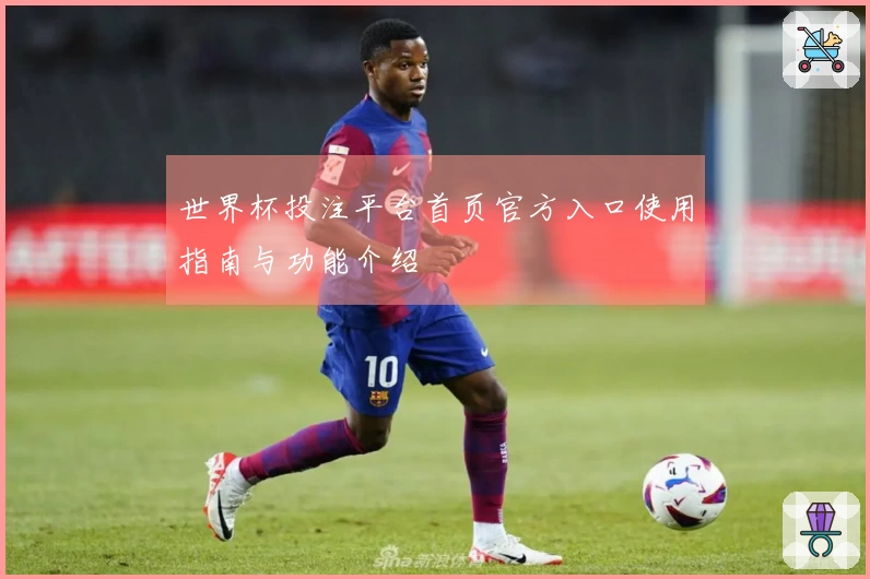 世界杯投注平台首页官方入口使用指南与功能介绍