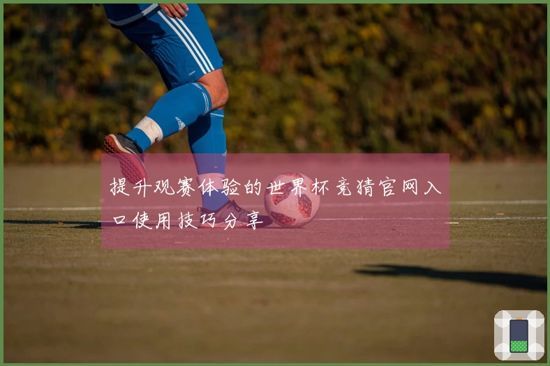 提升观赛体验的世界杯竞猜官网入口使用技巧分享