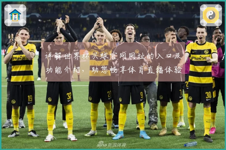 详解世界杯买球官网网址的入口及功能介绍,助您畅享体育直播体验