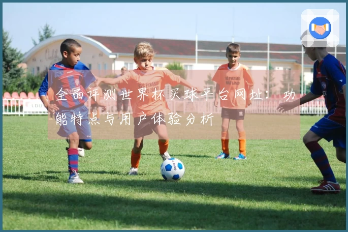 全面评测世界杯买球平台网址：功能特点与用户体验分析