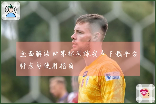 全面解读世界杯买球安卓下载平台特点与使用指南